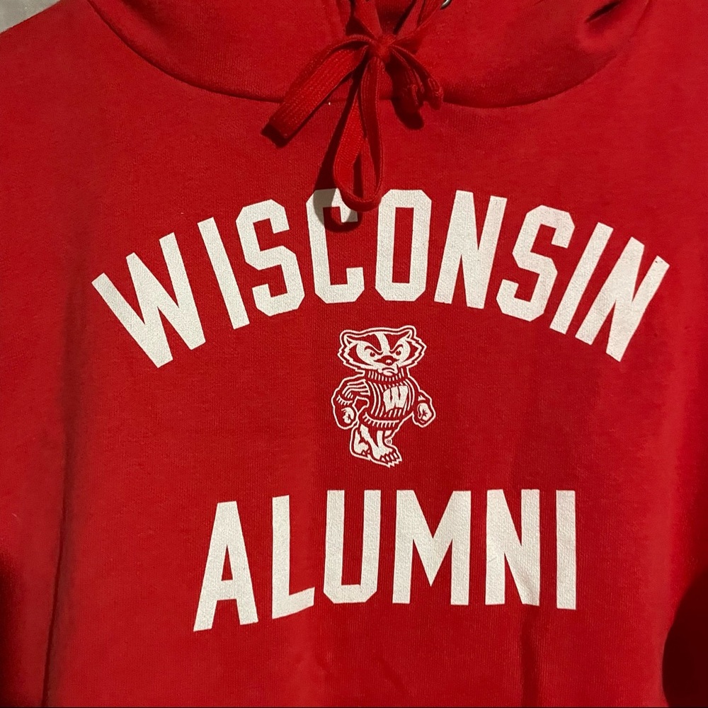 Wisconsin hoodie